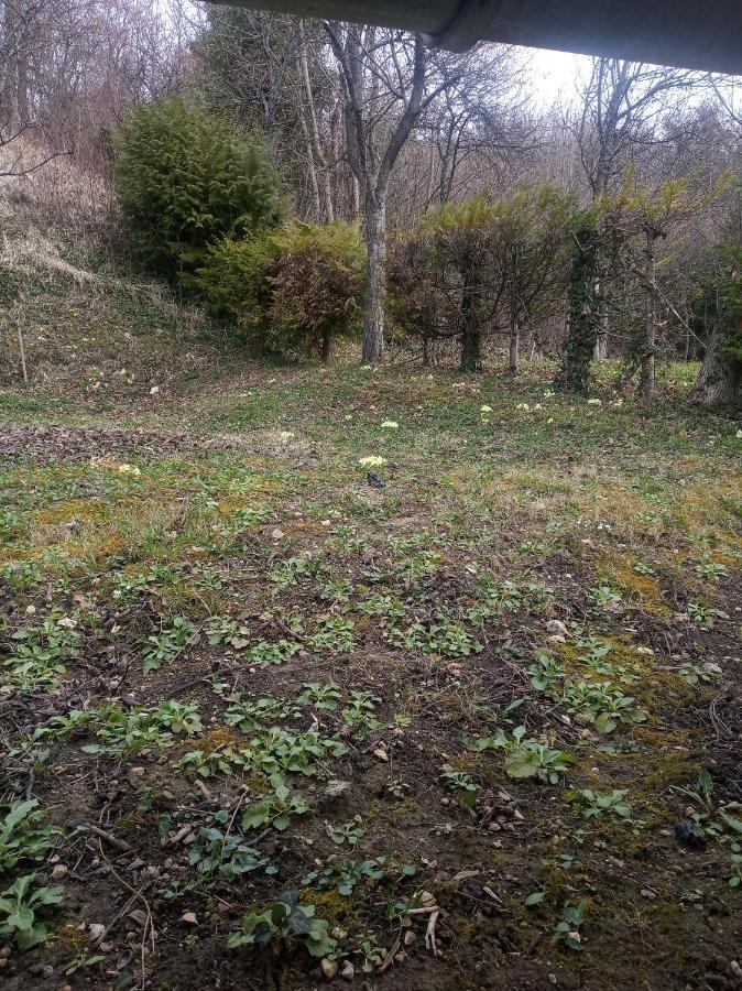 Holiday Home Nature Plesivica Jastrebarsko Buitenkant foto