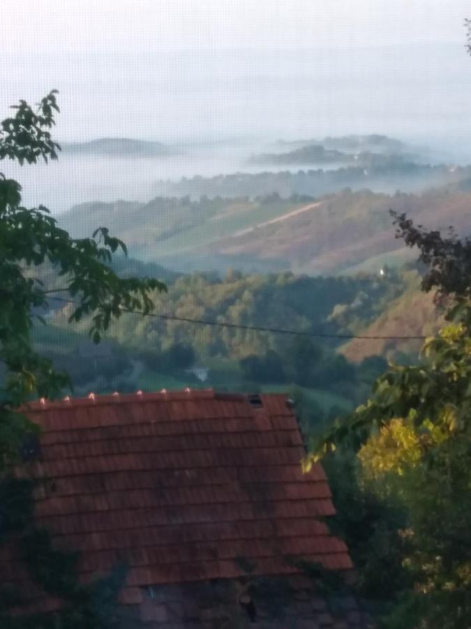 Holiday Home Nature Plesivica Jastrebarsko Buitenkant foto