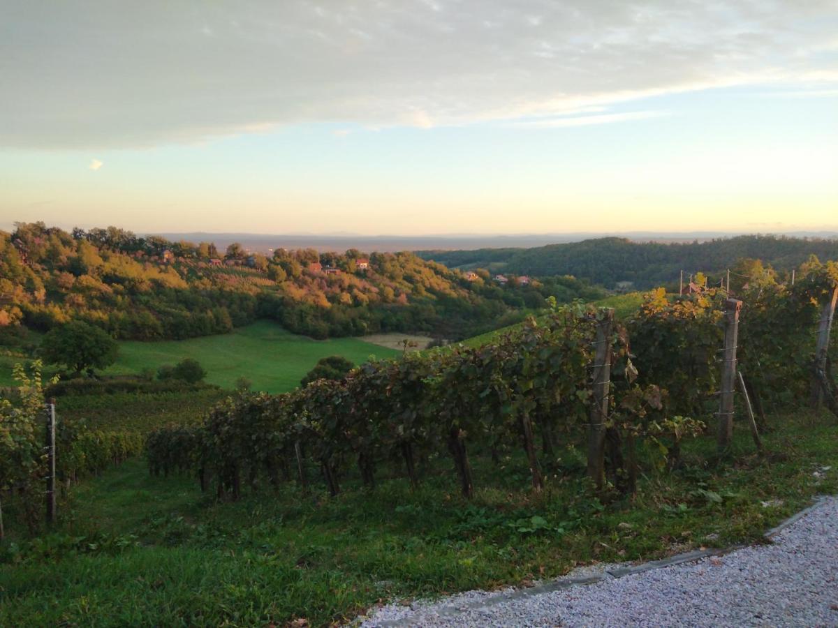Holiday Home Nature Plesivica Jastrebarsko Buitenkant foto